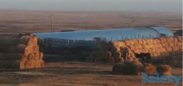 Приглашение на сотрудничество с Крестьянским хозяйством, фотография 2