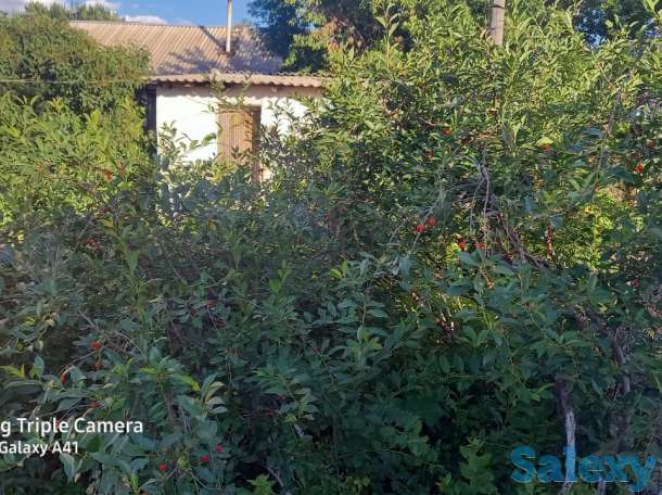 Продется дом с делимым участком 12,6 соток, Г. Нур-султан , Алматинский район , капал д.19, фотография 2