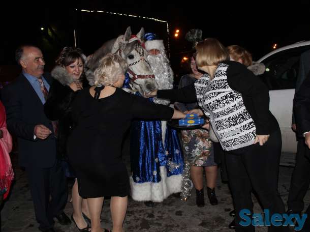 аренда коня, фотография 3