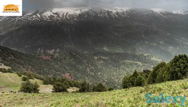 Классический тур по Узбекистану и путешествия / Uzbekistan Classical Tour & Travel, фотография 11