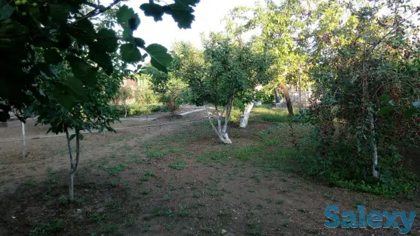 ПРОДАМ ДОМ в с.Калкаман (Павлодарская обл., Аксуский р-н) Земельный участок 20 сот., фотография 4