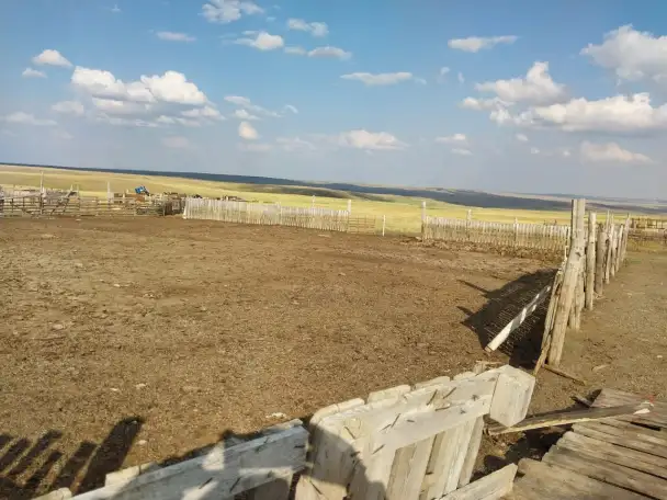 Продам готовое КХ, фотография 7