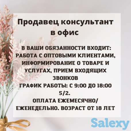 Продавец консультант в офис, фотография 1