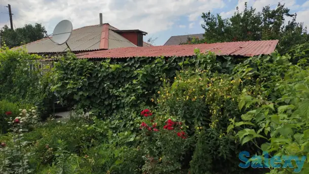 Дача 15 соток, Алматинская область, Талгарский район, с.о. Кендалинский, с. Кендала, с/т Медик-, фотография 16