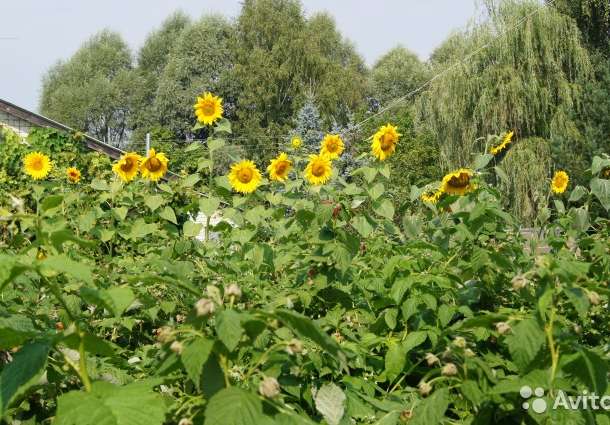 Коттедж 61 м² на участке 12 сот, фотография 9