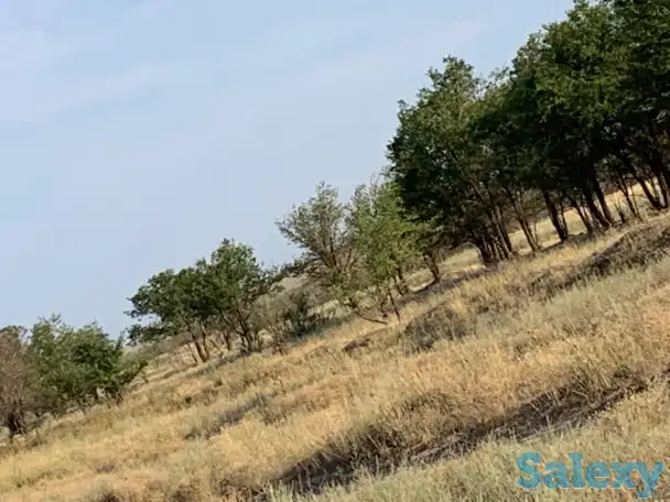 Продажа земельного участка, Алматинская область Илийский район, фотография 2