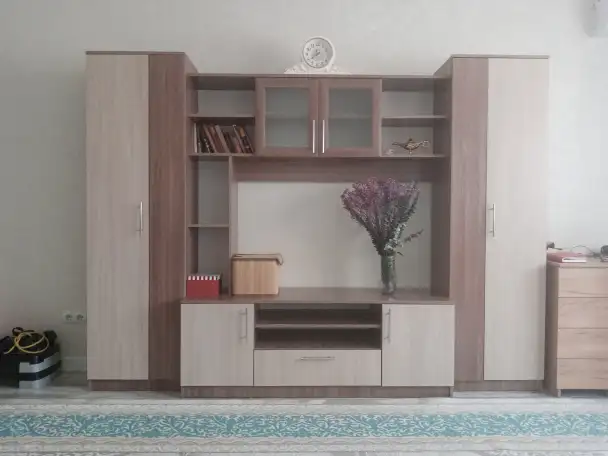 Продается стенка в зал с нишей для ТВ, фотография 1