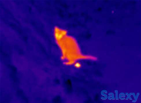 Услуги тепловизора, фотография 4