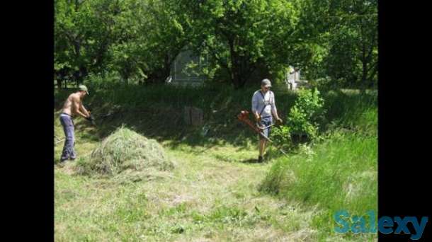 Покос Стрижка травы, фотография 1