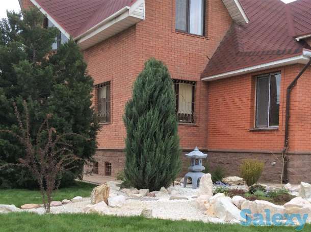 Сад мечты на вашем участке!, фотография 5