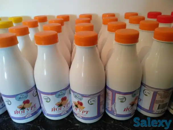 масло сливочное,масло топленое,сыр,брынза,йогурт,кумыз,чечил,курт 6 800 ₸, фотография 6