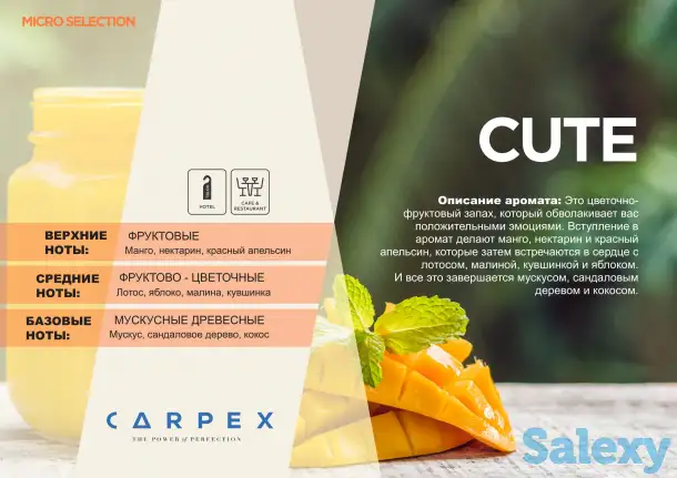 Ароматизатор Carpex окружающий, фотография 14