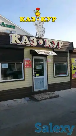 Продажа Куриной Продукции, Куры ЦБ, фотография 2