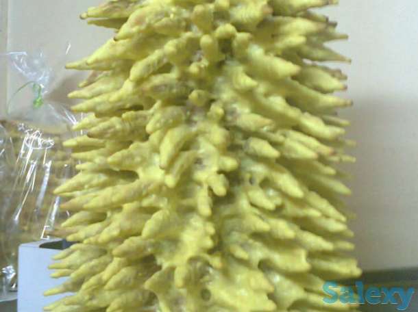 Печи для тортов Баумкухен  или  Шакотист, фотография 2