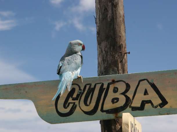 Горящие туры и путевки на Кубу, фотография 1