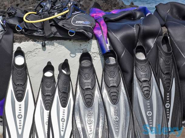 Ласты экспресс black/blue, фотография 4