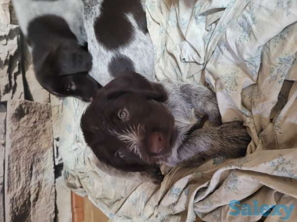 Продам, фотография 1