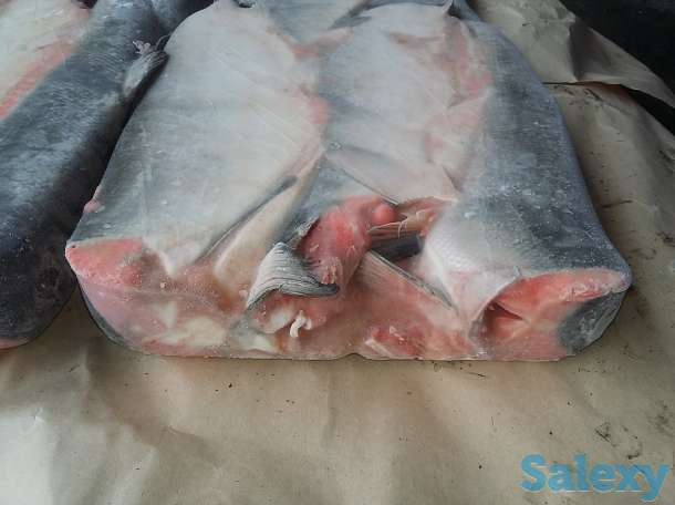 Морепродукты, фотография 3