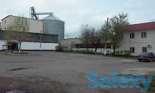 Мукомольный комплекс с элеватором.Новый.Срочно., фотография 3