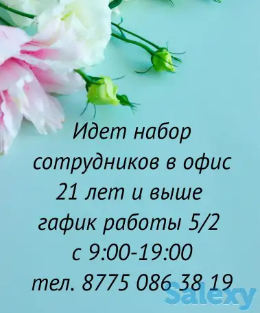 Офисная деятельность, фотография 1