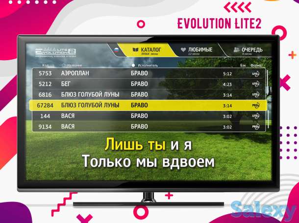 Караоке Evolution Lite2 топовое решение для бизнеса и домашнего пользования, фотография 4