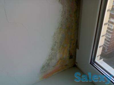 Тёплые откосы, фотография 1