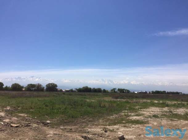 Продам землю КХ, Илийский район, посёлок Ынтымак, фотография 2