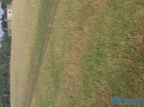 Продам участок 10 соток в боровом, фотография 1