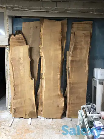 Слеб карагач., фотография 10