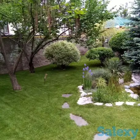 Садовник Каскелен, фотография 5