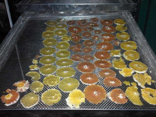 Сушильный шкаф камера С-3Км (на 220в) для мяса, овощей и пр., фотография 5