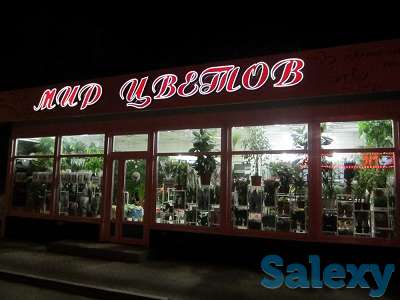 Объёмные буквы – световой лицевик (изготовление, монтаж)., фотография 3