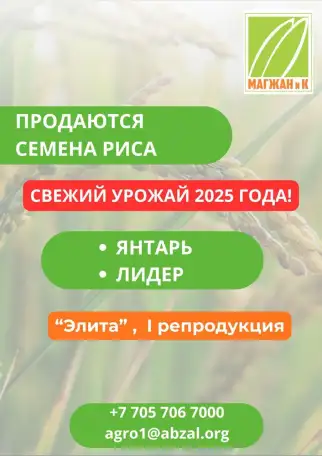 Люцерна, фотография 4