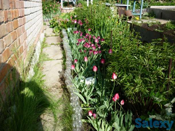 Продам дачу, общество Ермак,43 км,дом 43004, фотография 11