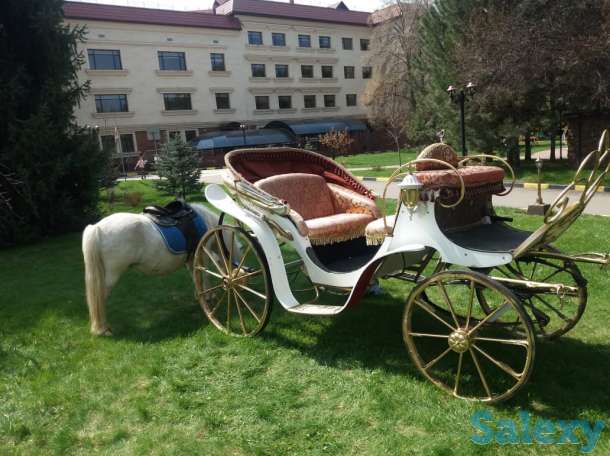 фаэтон, карета, фотография 1