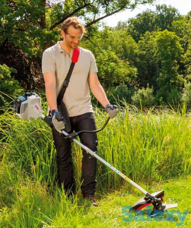 Газон,шөп орамыз, аппаратпен, фотография 1