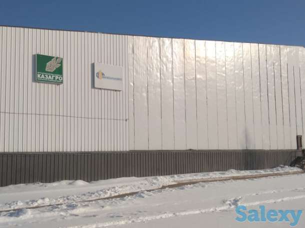 Продажа репчатого лука в больших объемах, урожай 2019 года, сортов «бурса- F1» и «братко F1», фотография 6