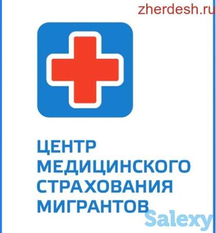 Миграционные услуги, фотография 7