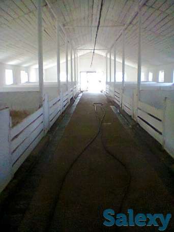 Продам Ферму, Коксай, фотография 2