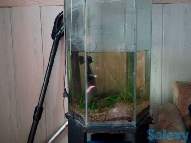 Продам стильный аквариум, фотография 1