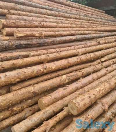 Доска Обрезная Необрезная, фотография 6