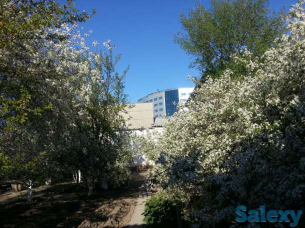 сдам в аренду благоустроенный дом в центре города Атырау(район облакимата), фотография 11