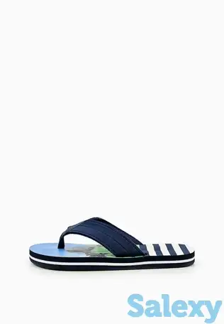 Сланцы t.taccardi, фотография 2