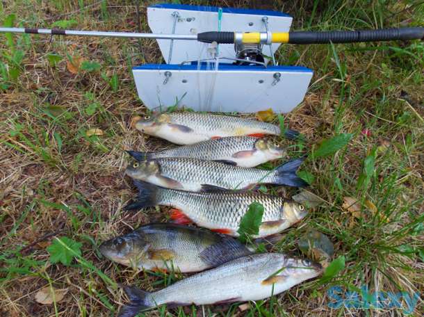 Реверсивный кораблик, фотография 2