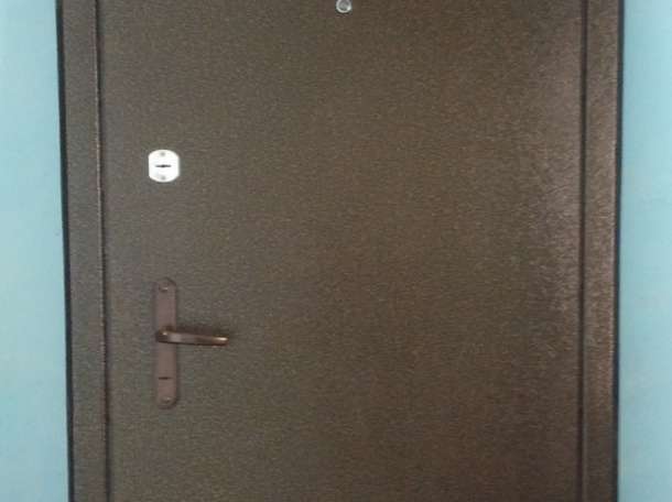 Металлическая (стальная, железная) дверь , фотография 1