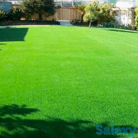 Озеленение, фотография 3