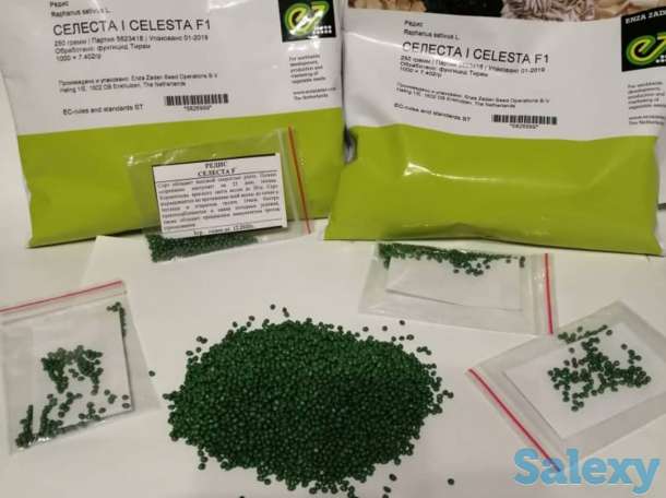 Семена Кокшетау, фотография 10