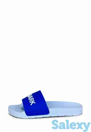 Сланцы t.taccardi, фотография 1