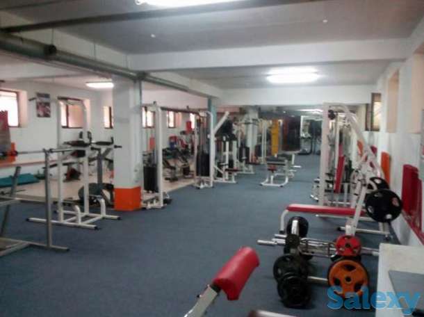 Продается бизнес - Тренажерный зал, фотография 6