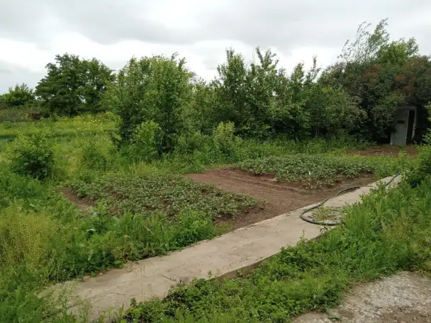 СРОЧНО ПРОДАМ ДАЧУ, СК Мелиоратор, фотография 5